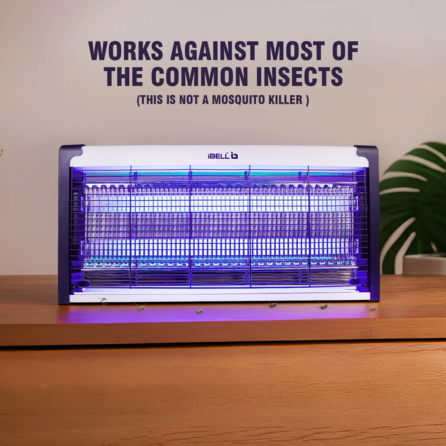 iBELL M215IK Bug Zapper Machine, 30W Insect Killer with Aluminum Body - Fly Catcher for Home, Hotels & Offices - UV Bulbs (Silver) - Image 6