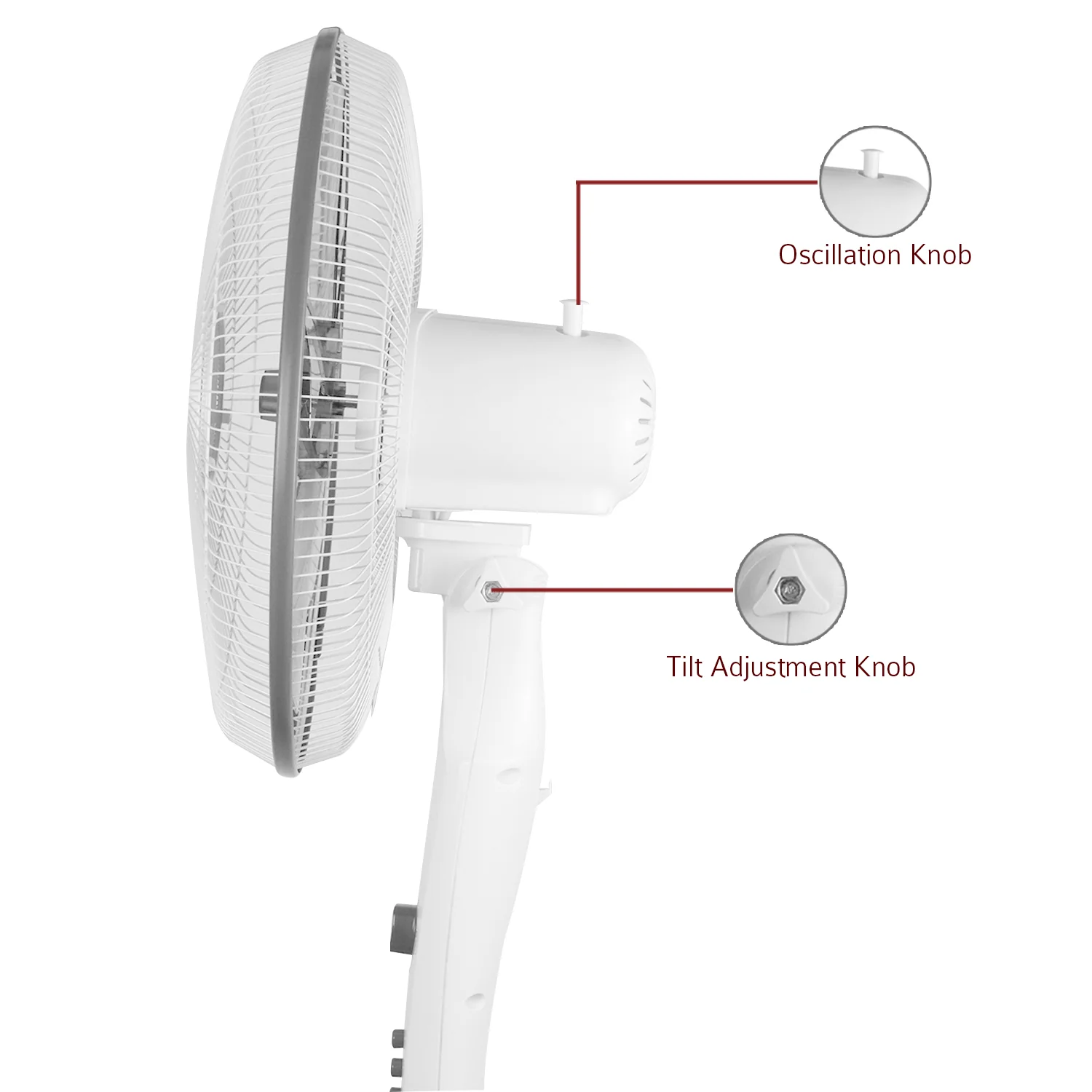 IBELL STORM P10 WHITE High Speed Pedestal Fan, 5 Leaf, 406mm, 2 hour Timer, Stand fan with Copper Motor (White) - Image 5